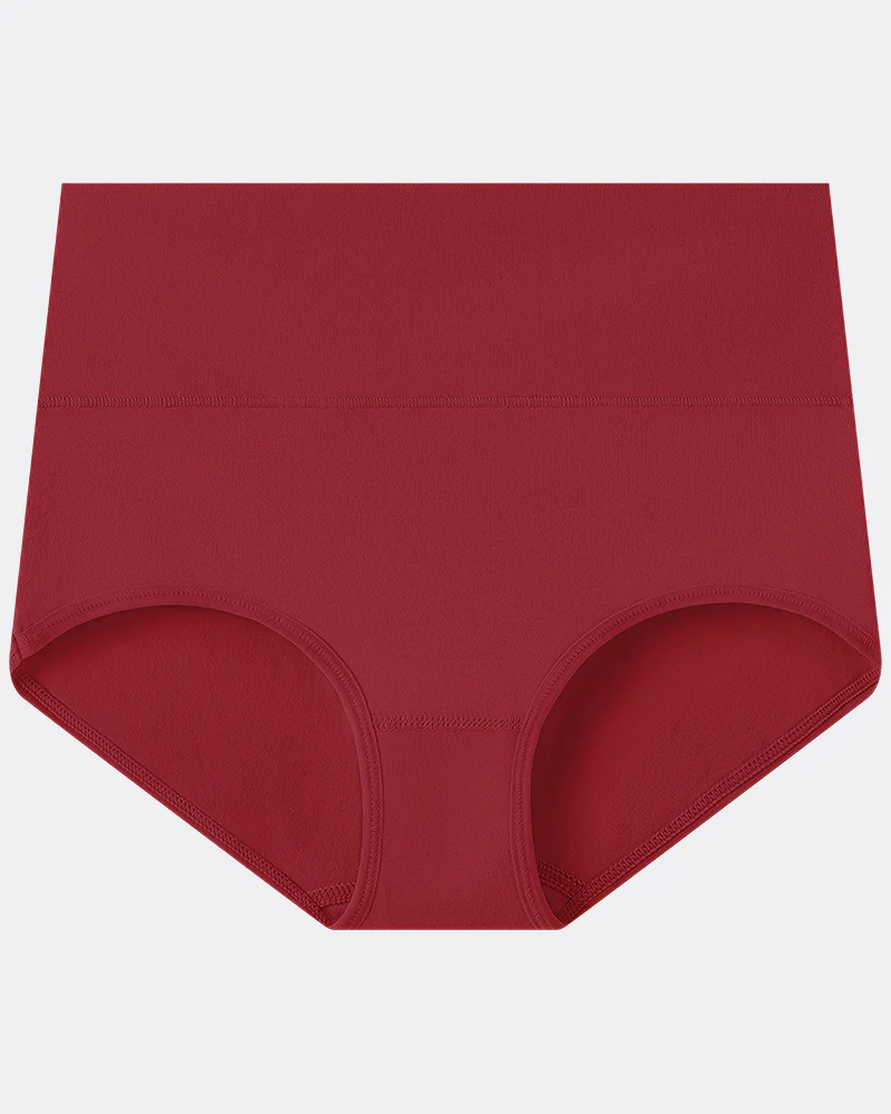 Women's Plus Size Cotton High Waisted Briefs - Image 13