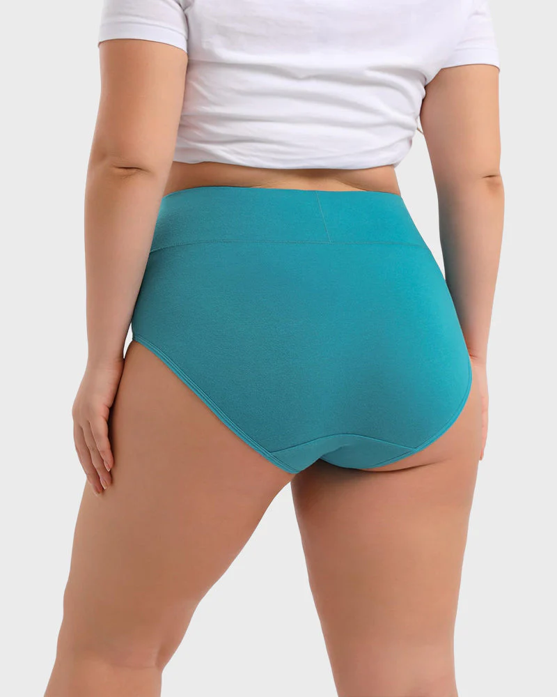 Women's Plus Size Cotton High Waisted Briefs - Image 6